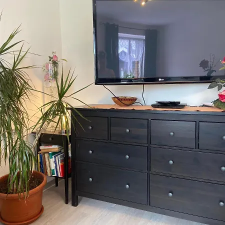 Zum Panscheberg Apartament Salzgitter